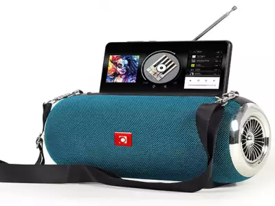 SPK-BT-17-G Gembird Portable Bluetooth speaker +handsfree 2x5W, FM, USB, SD, AUX + antena green*1075*